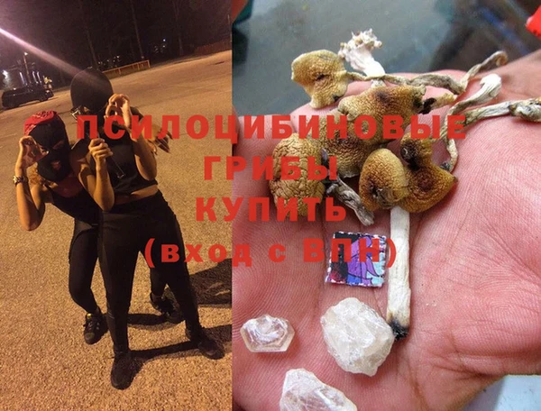 apvp Алексин