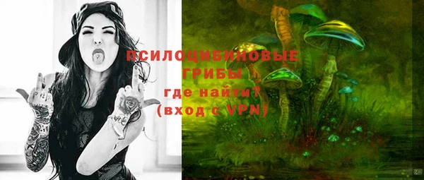 apvp Алексин