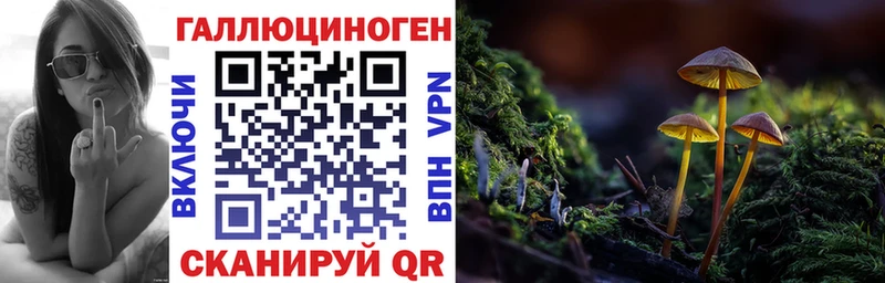 Галлюциногенные грибы Cubensis kraken онион Бирск