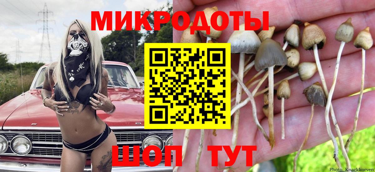 Бирск  Галлюциногенные грибы прущие грибы  Вход с VPN 