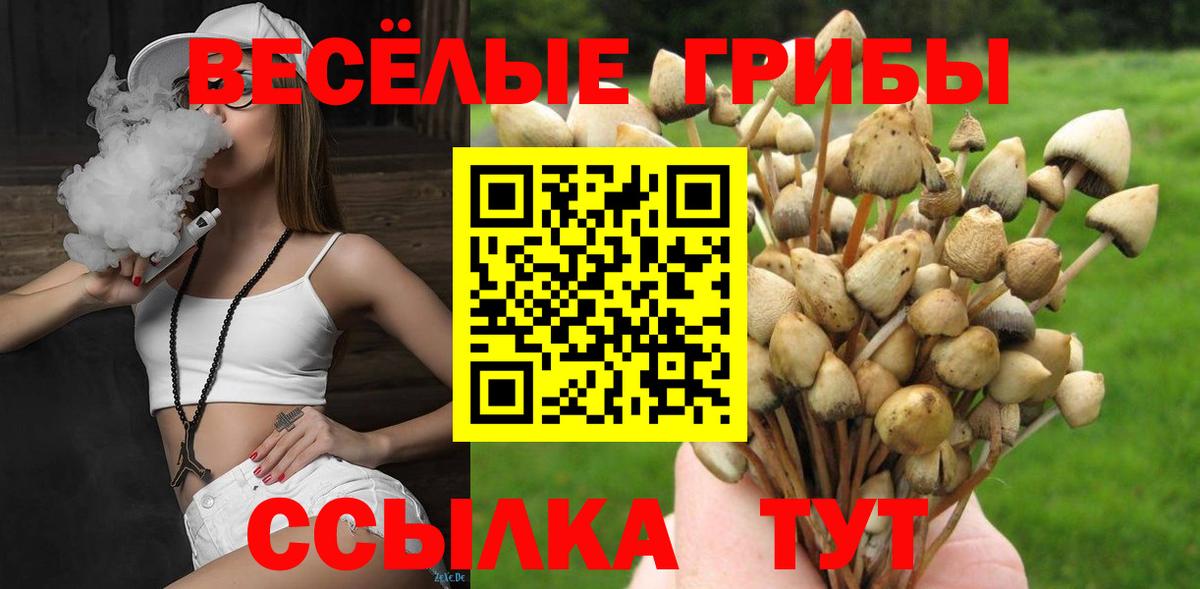 Галлюциногенные грибы прущие грибы Бирск